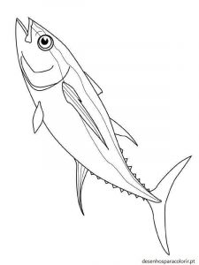 Read more about the article Desenhos de peixes para pintar 03